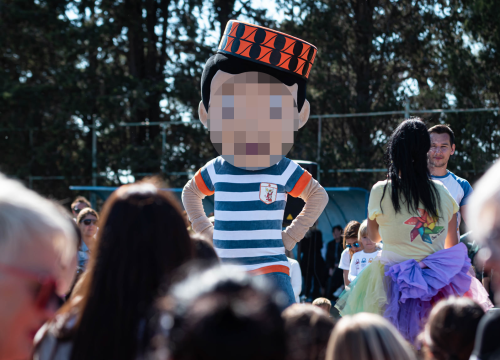 Prepoznajete li osobu sa slike? Traži ga policija zbog navijačkog obračuna na Meterizama