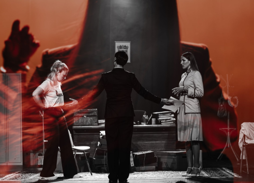 Fotografija 8 - 'Prigode beru jagode': Poslastica šibenskog HNK privukla velik broj zaljubljenika u kazalište