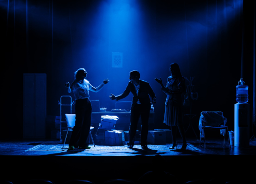 Fotografija 9 - 'Prigode beru jagode': Poslastica šibenskog HNK privukla velik broj zaljubljenika u kazalište