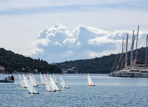 Fotografija 4 - FOTO: Val domaćin rekordnog Europskog prvenstva: 100 jedrilica na startu u Rogoznici