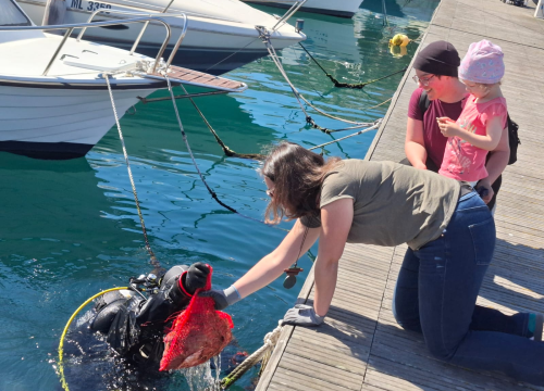 Fotografija 4 - Članovi zlarinske 'Tatavake' sudjelovali u velikoj ekološkoj akciji Instituta Plavi svijet