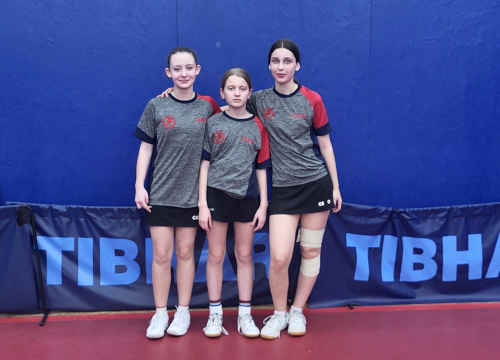 Stolnotenisačice Šibenika šeste ekipno u Hrvatskoj, Loreta Mandić među osam najboljih