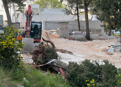 Čempres koji može 'uhvatiti' 800 godina pao u trenu: 'Ajte kvragu svi zajedno, sa svim svojim investicijama'