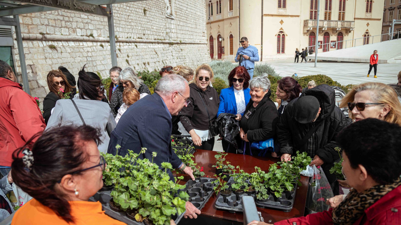 Održana tradicionalna akcija podjele sadnica u Šibeniku: Dvije tisuće đirana za ljepši grad