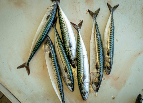 Fotografija 5 - Veliki petak na šibenskoj pijaci: Traži se meso i zelenje, na peškariji nema gužve