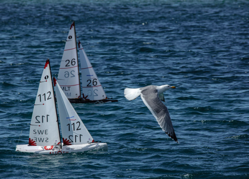 Fotografija 4 - Sjajno Europsko prvenstvo u Rogoznici