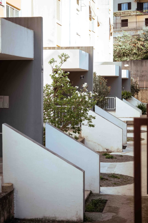 Šubićevac – zelena oaza i srce šibenskog sporta