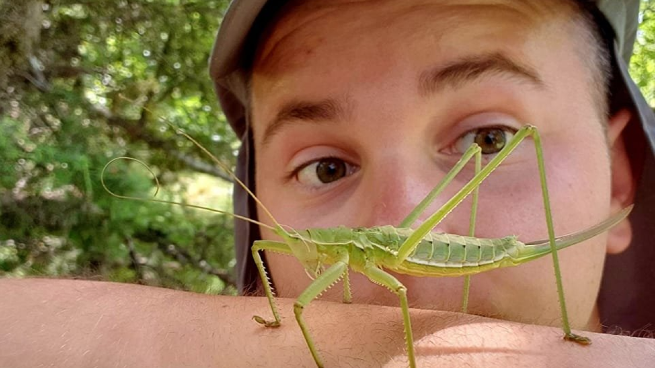 ‘Mali botanički ragovori’: Sebastian Ćato gostuje sutra u Azimutu u sklopu festivala Flora Dalmatica