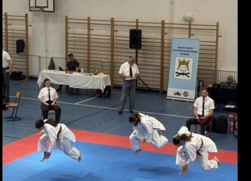 Fotografija 1 - FOTO Osvitaši osvojili pregršt medalja na Prvenstvu Dalmacije