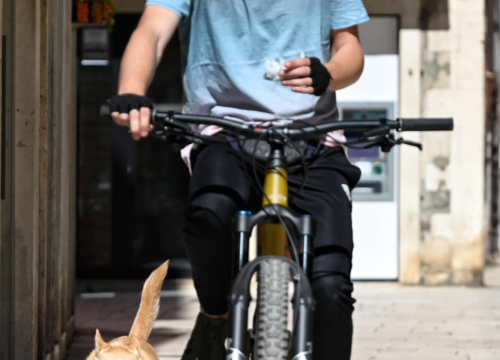 Fotografija 29 - Đir po gradu, četvrtak 1. svibnja