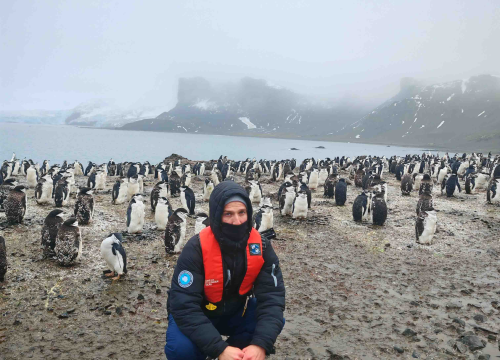 Fotografija 3 - Veliki Gogo, prvi Šibenčanin na Antarktici: 'Skočio sam u more dva puta, a pingvini baš i ne mirišu najbolje'