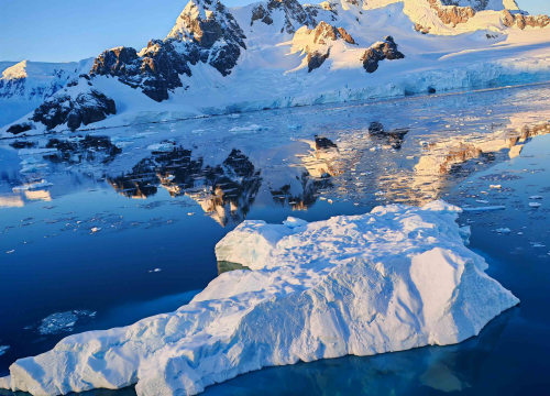 Fotografija 11 - Veliki Gogo, prvi Šibenčanin na Antarktici: 'Skočio sam u more dva puta, a pingvini baš i ne mirišu najbolje'