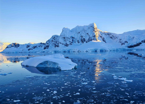 Fotografija 16 - Veliki Gogo, prvi Šibenčanin na Antarktici: 'Skočio sam u more dva puta, a pingvini baš i ne mirišu najbolje'