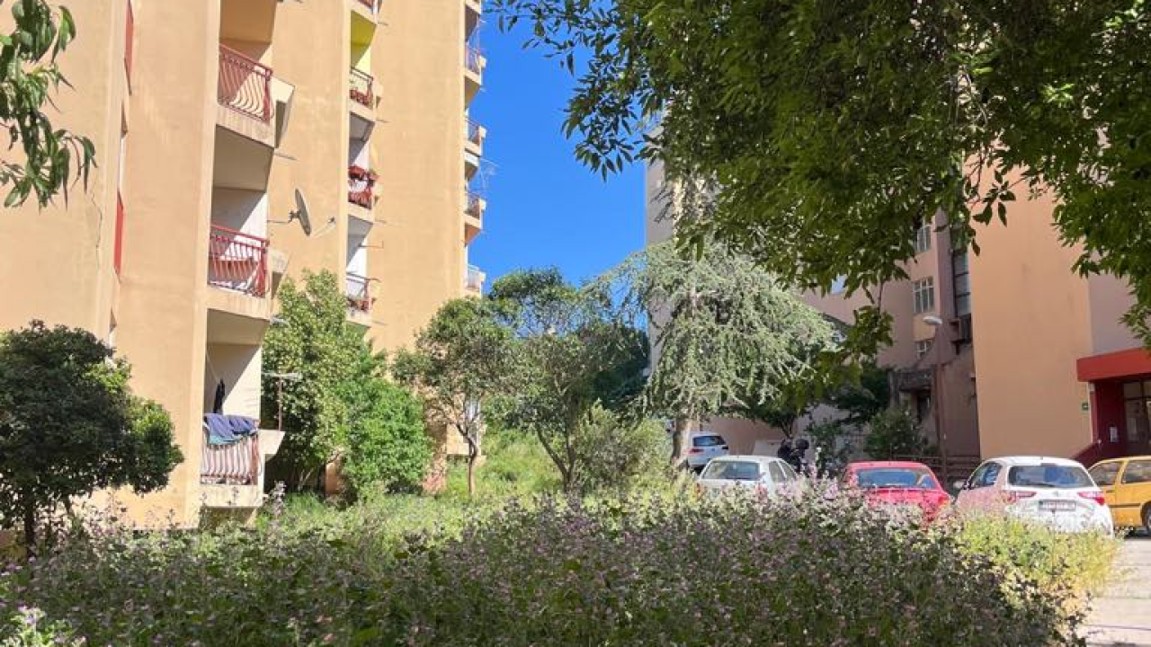 Vidici zarasli, trava do pasa: Kosilice izašle na teren kod 'Lepe Brene'