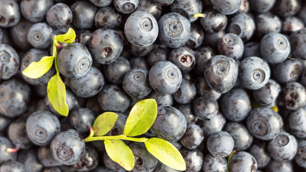 Svi znamo da su borovnice bogate antioksidansima, ali nisu jedine