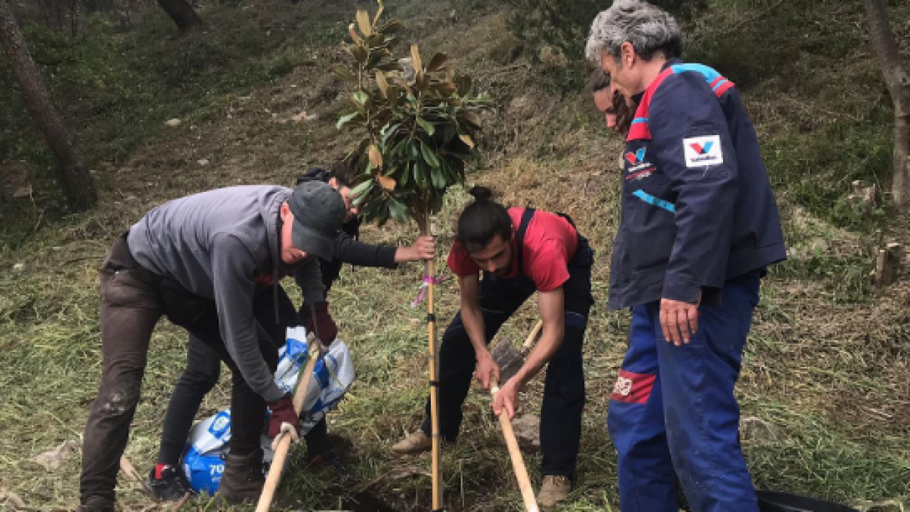 Uključite se u akciju čišćenja Robertinog parka u šibenskom Docu