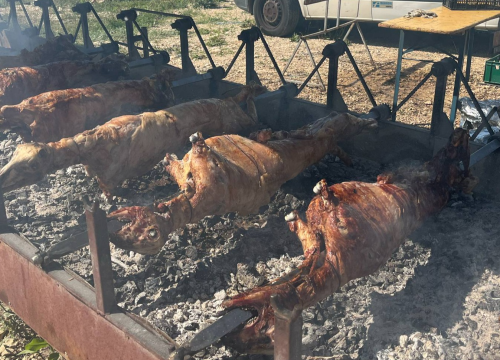 Mirisi janjca i šušur tradicije: Ekipa ŠibenikIN-a jutros na benkovačkom sajmu