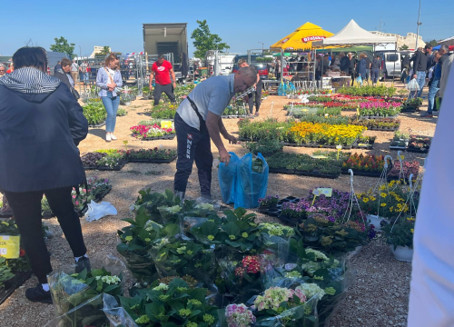 Fotografija 13 - Mirisi janjca i šušur tradicije: Ekipa ŠibenikIN-a jutros na benkovačkom sajmu