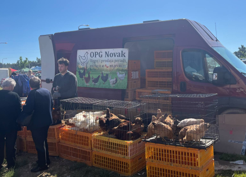 Fotografija 25 - Mirisi janjca i šušur tradicije: Ekipa ŠibenikIN-a jutros na benkovačkom sajmu