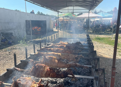 Fotografija 5 - Mirisi janjca i šušur tradicije: Ekipa ŠibenikIN-a jutros na benkovačkom sajmu