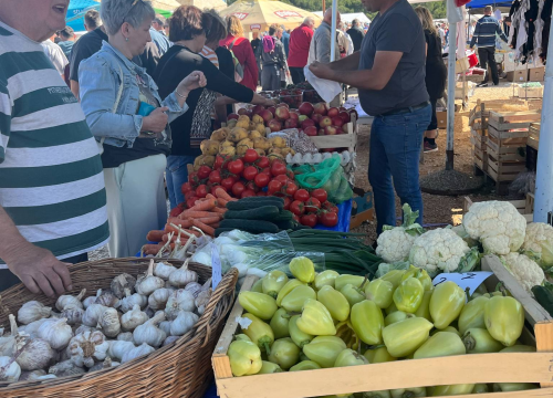 Fotografija 20 - Mirisi janjca i šušur tradicije: Ekipa ŠibenikIN-a jutros na benkovačkom sajmu