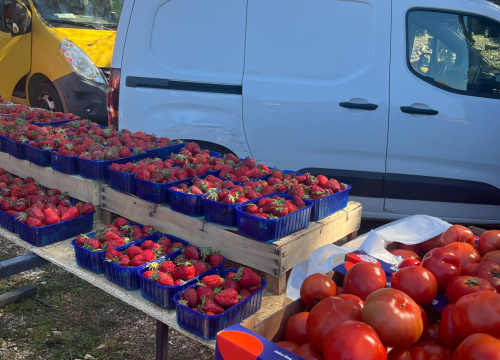 Fotografija 16 - Mirisi janjca i šušur tradicije: Ekipa ŠibenikIN-a jutros na benkovačkom sajmu