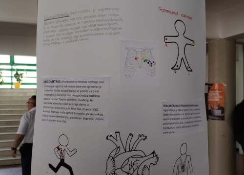 Fotografija 7 - Dan otvorenih vrata Medicinske škole Šibenik: 'Vaš će poziv u budućnosti spašavati mnoge živote'