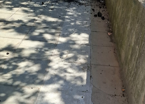 Fotografija 1 - Pitari ugrozili prolaznike i djecu: Apel građana nakon potencijalno opasne situacije ispred vrtića