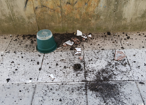 Fotografija 5 - Pitari ugrozili prolaznike i djecu: Apel građana nakon potencijalno opasne situacije ispred vrtića