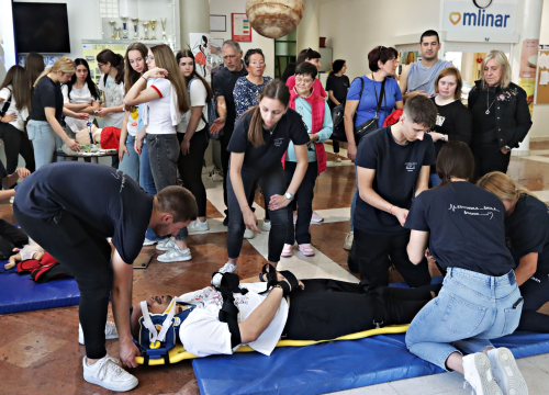 Fotografija 5 - Kamenčići zavirili u svijet šibenske Medicinske škole