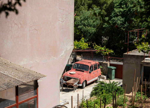 Fotografija 19 - rokici