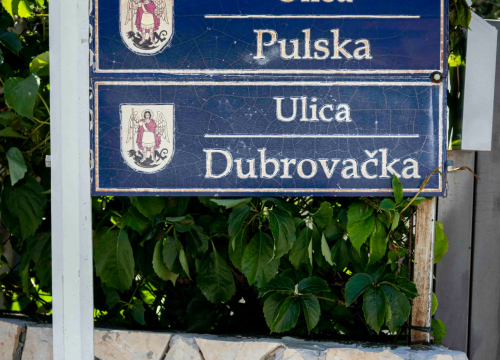 Fotografija 29 - rokici