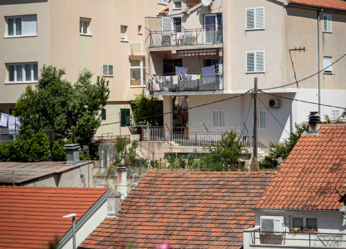 Fotografija 37 - rokici