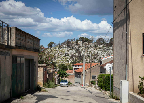 Fotografija 38 - rokici