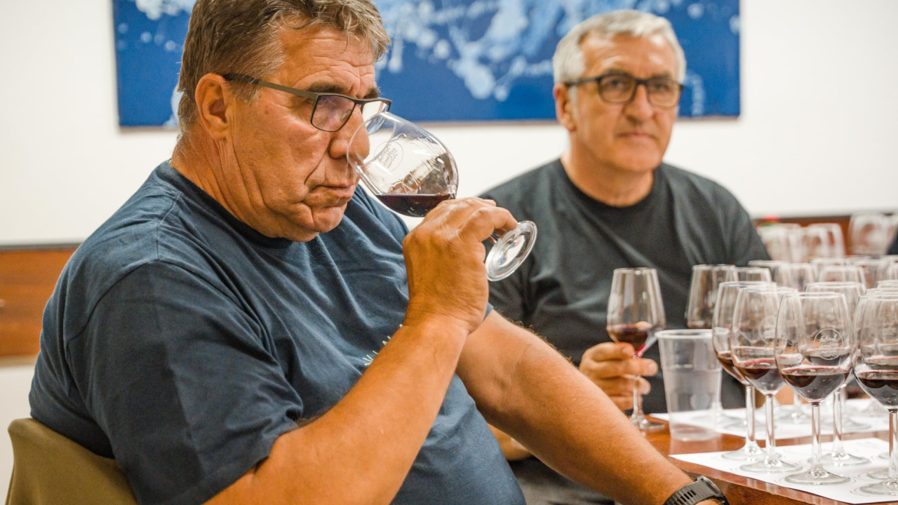 Vrhunska vina, radionica, panel, Soulwarmersi, Fenixi... Ne propustite četvrti Festival drniškog merlota