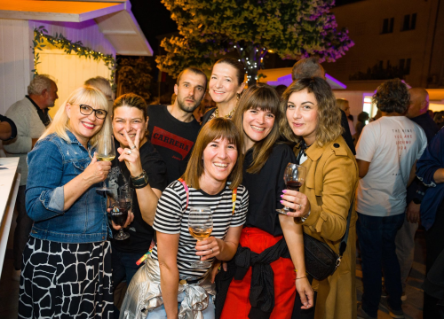 Vrhunska vina, radionica, panel, Soulwarmersi, Fenixi... Ne propustite četvrti Festival drniškog merlota