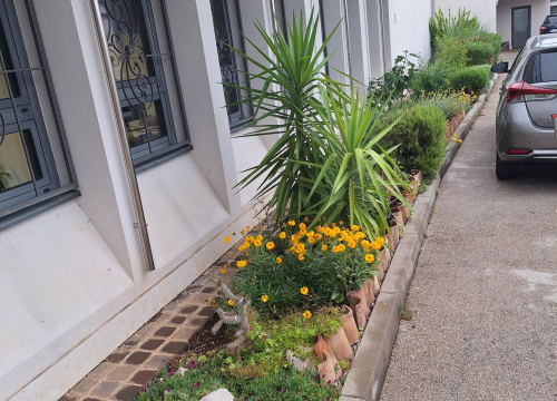 Fotografija 6 - Učenici OŠ Meterize pravi ambasadori okoliša