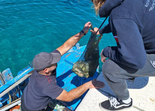 Fotografija 16 - Ekološka akcija na murterskim Podvrškama: Ronioci i volonteri izvukli hrpu otpada iz mora