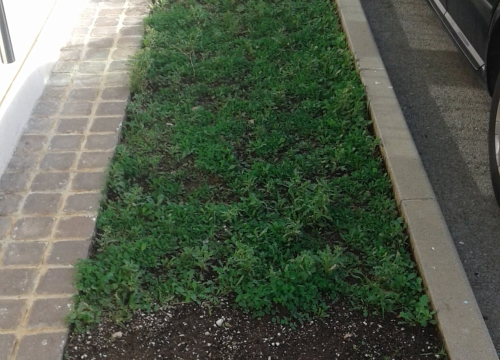 Fotografija 2 - Učenici OŠ Meterize pravi ambasadori okoliša