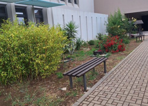 Učenici OŠ Meterize pravi ambasadori okoliša: Prvi koraci u Eko-školi već urodili plodom