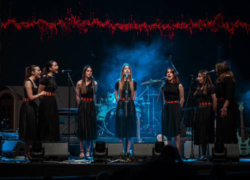 Fotografija 19 - Gimazijalke i Dalmatino na Poljani