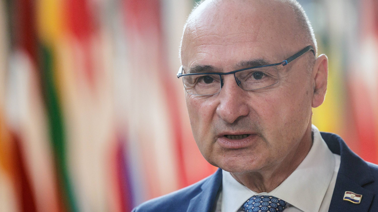 Grlić Radman: Hrvatska prednjači u pristupu OECD-u