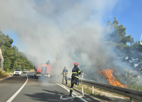 Požar u Žaboriću lokaliziran, gorjela trava i nisko raslinje