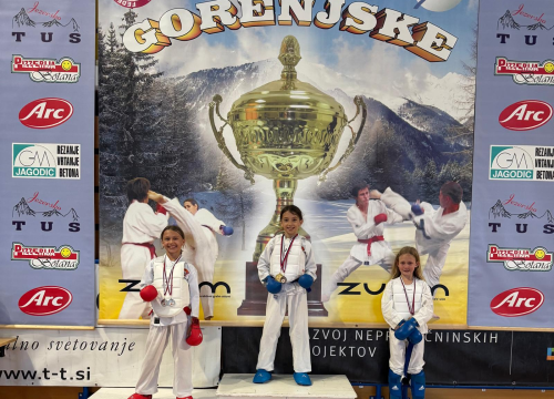 Fotografija 4 - FOTO Karateke Phoenixa iz Šenčura donijele u Murter 14 individualnih i dvije ekipne nagrade