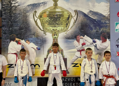 Fotografija 3 - FOTO Karateke Phoenixa iz Šenčura donijele u Murter 14 individualnih i dvije ekipne nagrade