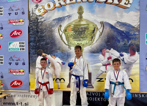 Fotografija 8 - FOTO Karateke Phoenixa iz Šenčura donijele u Murter 14 individualnih i dvije ekipne nagrade