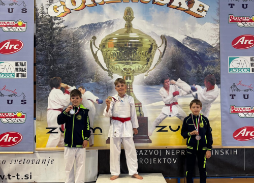 Fotografija 11 - FOTO Karateke Phoenixa iz Šenčura donijele u Murter 14 individualnih i dvije ekipne nagrade