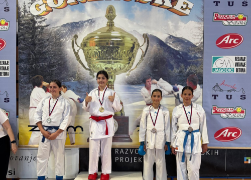 Fotografija 12 - FOTO Karateke Phoenixa iz Šenčura donijele u Murter 14 individualnih i dvije ekipne nagrade