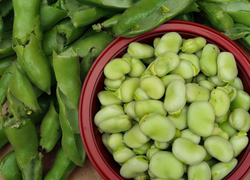 Bob je pravi specijalitet sezone. pripremite ga na jedan od ovih načina