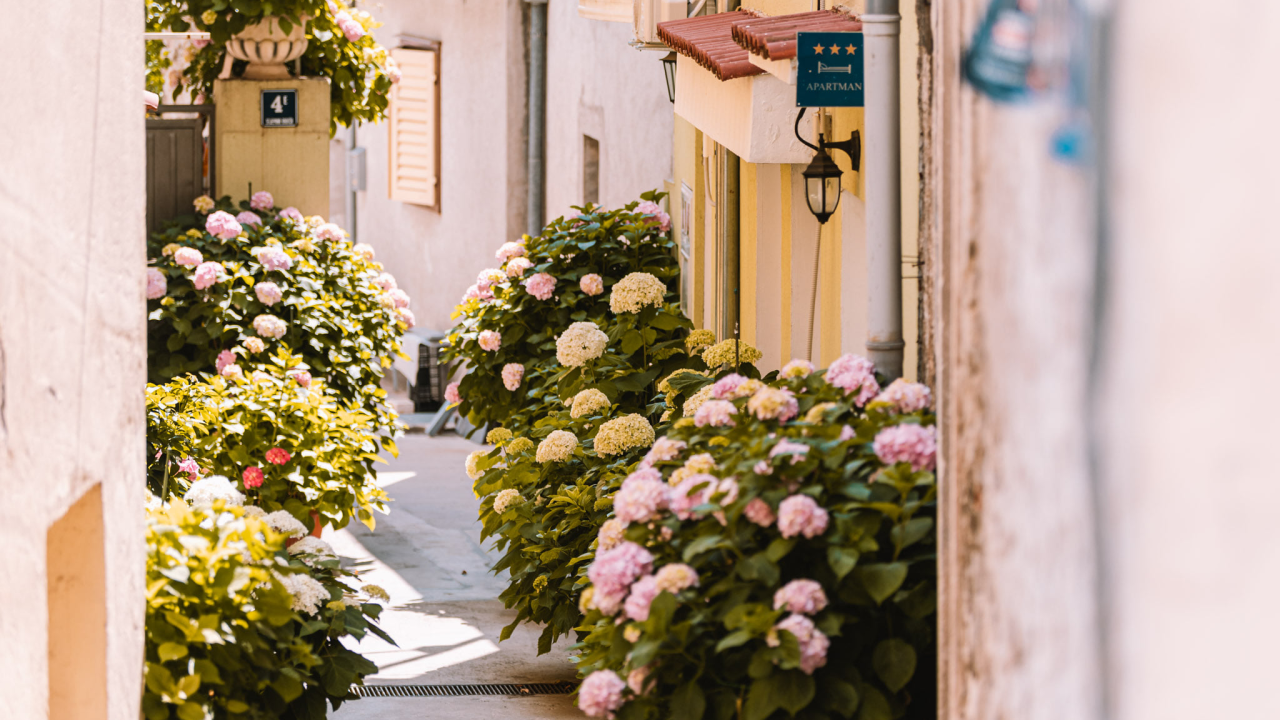 Većina iznajmljivača nije podigla cijene. Iz Udruge poručuju Vladi: ''Neka vam se vlastita licemjerja ne obiju o glavu'